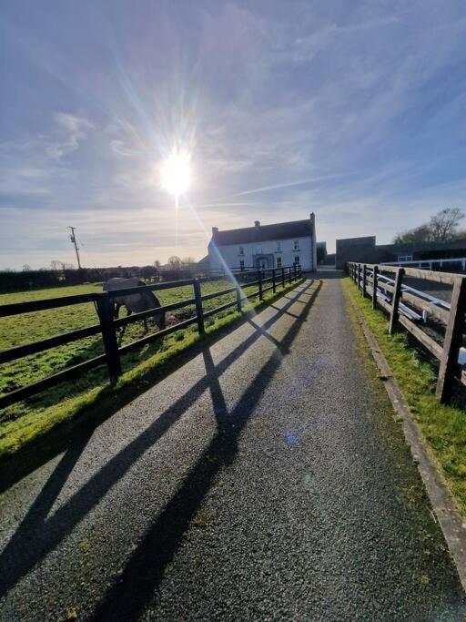 Welcome To Dc'S Cottage Holycross Buitenkant foto